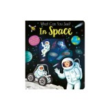 What Can You See? in Space