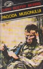 Pagoda musonului foto