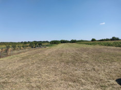 Teren zona Bulbucata la 25 Km de Bucuresti foto