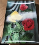 CPA. Carti Postale Tematice 3D cu imagine in miscare, Circulata, Printata