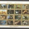 Ajman - Wild animals, imperf. mini block, used T.365