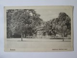 Roman(Neamt):Interiorul gradinei mari,carte postala necirculata anii 20