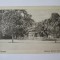 Roman(Neamt):Interiorul gradinei mari,carte postala necirculata anii 20