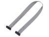 Cablu panglică SAMTEC IDC 254mm FFSD-08-D-10.00-01-N cu conectori IDC ambele părți