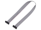 Cablu panglică SAMTEC IDC 254mm FFSD-08-D-10.00-01-N cu conectori IDC ambele părți