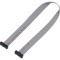 Cablu panglică SAMTEC IDC 254mm FFSD-08-D-10.00-01-N cu conectori IDC ambele părți
