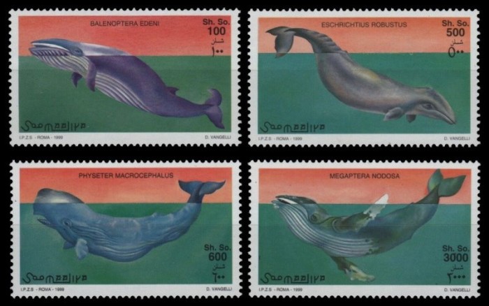 Somalia 1999 - Balene, fauna marina, serie neuzata