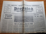 Dreptatea 8 august 1990-fata nevazuta a litoralului romanesc,articol pitesti