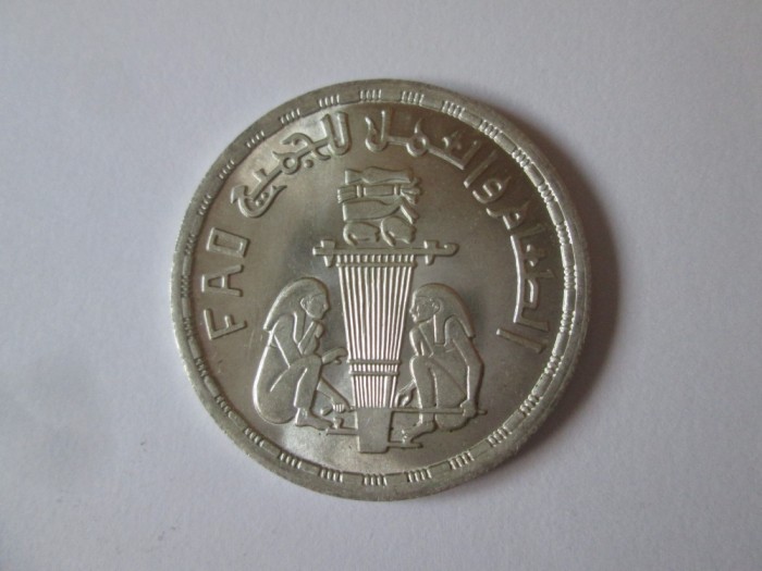 Egipt 1 Pound 1981 FAO argint UNC,diam.=35 mm,greutate=15,10 grame