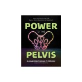 Power to the Pelvis: Improve Your Pelvic Floor for Better Digestive, Urinary, Reproductive and Sexual Health