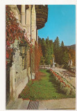 Carte Postala veche Romania -Muzeul Peles.Una din terasele de Sud, Circulata