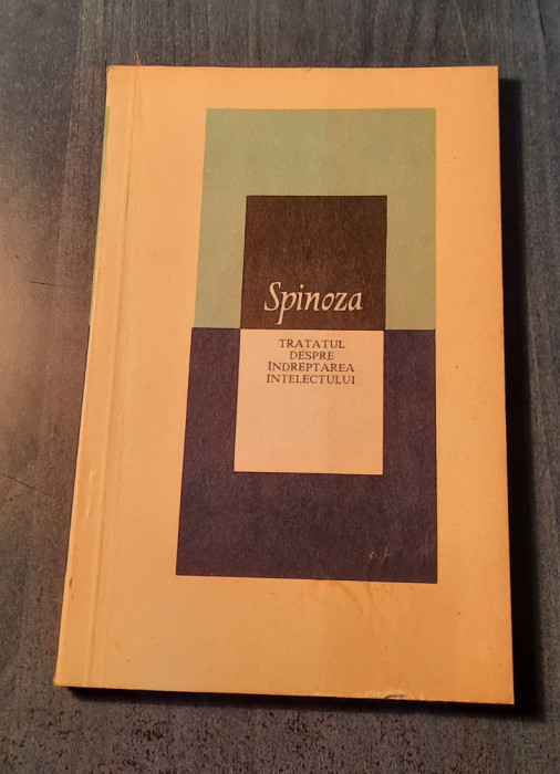 Tratatul despre indreptarea intelectului Spinoza