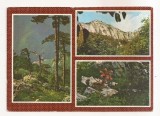 RF85 - Carte Postala - Baile Herculane, Rezervatia naturala Domogled, necirculata