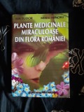 Ilie Tudor - Plante medicinale miraculoase din flora Romaniei