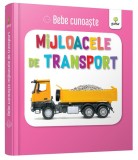 Mijloacele de transport. Bebe cunoaște - ***