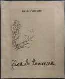 Cumpara ieftin ION D. TUDORACHE - FLORI DE TOAMNA (VERSURI) [VOLUM DE DEBUT / INSTITUTUL DE ARTE GRAFICE "ASTRA" BRASOV, 1942]