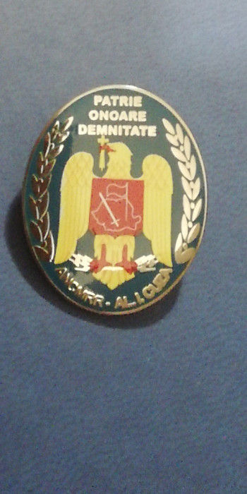 M3 N2 28 - insigna - militar - Asociatia rezervistilor militari - prindere ac