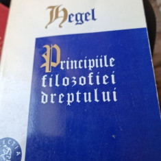 G. W. F. Hegel - Principiile filozofiei dreptului