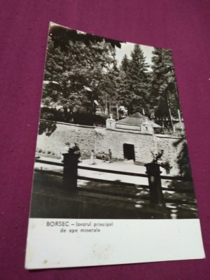 CARTE POSTALA BORSEC-IZVORUL PRINCIPAL CIRCULATA foto