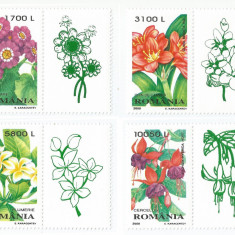 Romania, LP 1510a/2000, Plante de apartament, cu vinieta, MNH