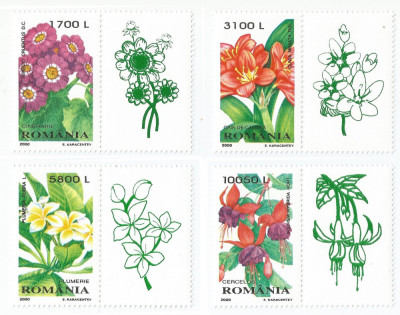 Romania, LP 1510a/2000, Plante de apartament, cu vinieta, MNH foto