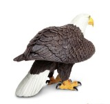 Figurina - Bald Eagle | Safari