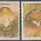 ZAMBIA 1984 CIUPERCI
