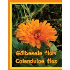 GALBENELE 50GR