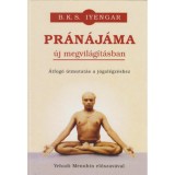 Pr&aacute;n&aacute;j&aacute;ma &uacute;j megvil&aacute;g&iacute;t&aacute;sban - &Aacute;tfog&oacute; &uacute;tmutat&aacute;s a j&oacute;gal&eacute;gz&eacute;shez - B. K. S. Iyengar