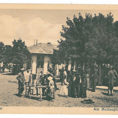 1106 - FOCSANI, Vrancea, Market, Romania - old postcard - unused