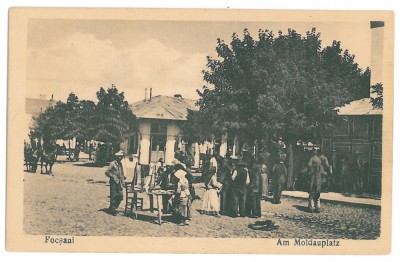 1106 - FOCSANI, Vrancea, Market, Romania - old postcard - unused foto