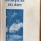 Intamplarea cea mare - C. Gane