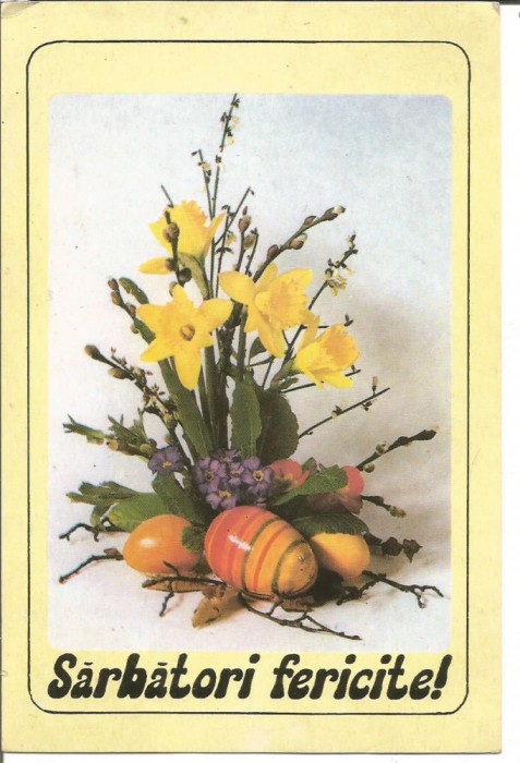 (A) carte postala-FELICITARE