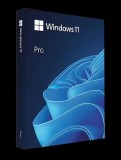 Windows 11 Pro (retail)