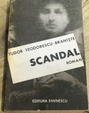 Cumpara ieftin LITR14 0442 Literatura - Tudor Teodorescu - Scandal
