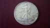 1 DOLLAR 1991 ARGINT 999 1 OZ., America de Nord