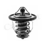 Calorstat by Vernet termostat, lichid racire