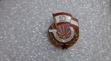 insigna Tanarul Dinamovist