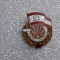 insigna Tanarul Dinamovist