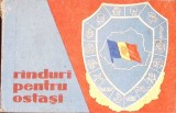 RANDURI PENTRU OSTASI-NECUNOSCUT-363131