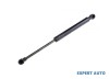 Amortizor haion Renault MEGANE I (1996-2004)[BA0/1_] #1