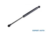Amortizor haion Renault MEGANE I (1996-2004)[BA0/1_] #1