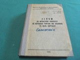 ALBUM CU INFRACTORII CUNOSCUȚI CE S&Acirc;V&Acirc;RȘESC FURTURI DIN BUZUNARE PE RAZA CAPITALEI * MILIȚIA BUCUREȘTI * 1982 * 2 1 5