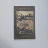 Ioan Hategan, Drumuri municipale din Timisoara. Traditie si modernitate, Ed. Banatul, 1999