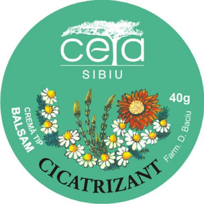 Unguent cicatrizant, 40g, Ceta Sibiu foto