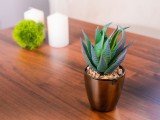 Suculent artificial decorativ in ghiveci auriu, 17 cm, MagicHome