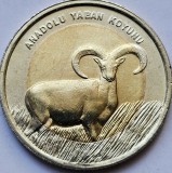 1 Lira 2015 Turcia, Anatolian Mouflon, unc, km#1362, Europa