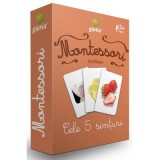 Carti de joc Montessori. Cele 5 simturi