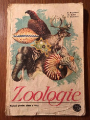 Zoologie, manual pentru clasa a VI-a, 1983 foto