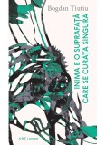 Cumpara ieftin Inima E O Suprafata Care Se Curata Singura, Tiutiu Bogdan - Editura Art